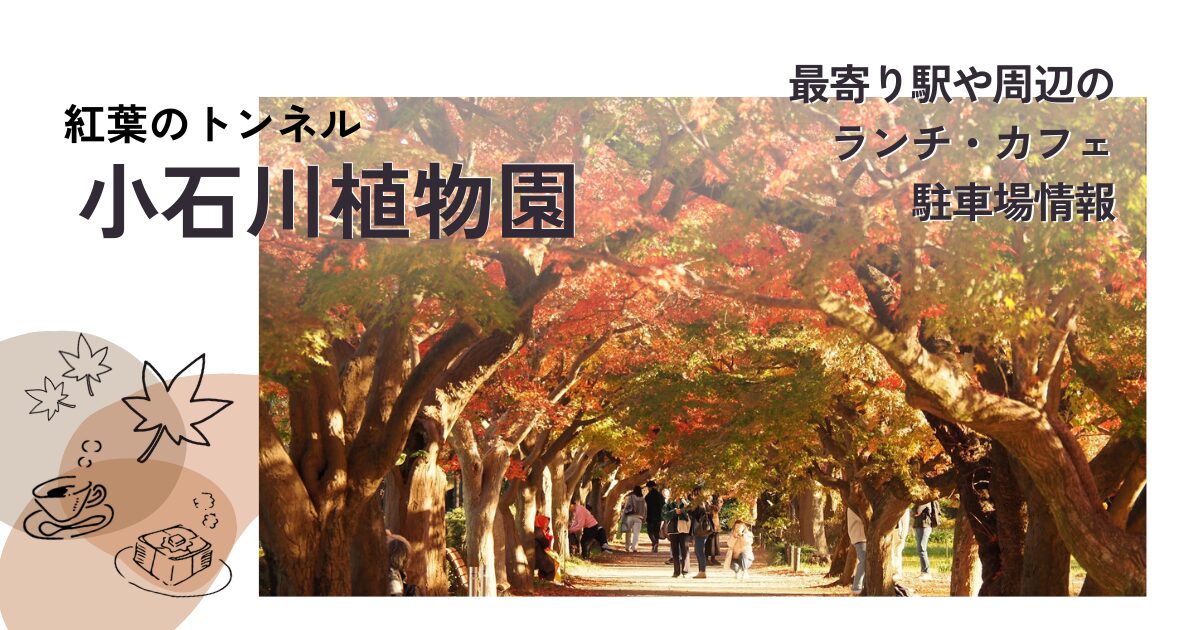 紅葉のトンネル小石川植物園最寄り駅や周辺のランチやカフェ、駐車場情報