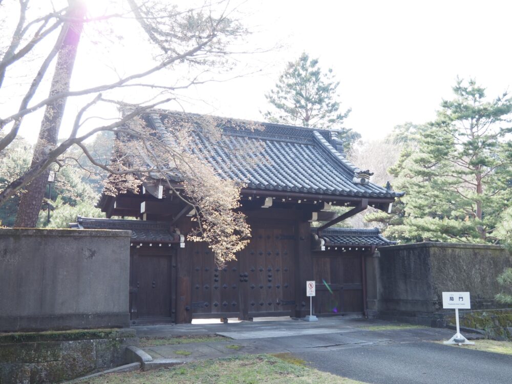 皇居乾通り一般公開・2025年桜|所要時間や待ち時間・混雑具合などレビュー