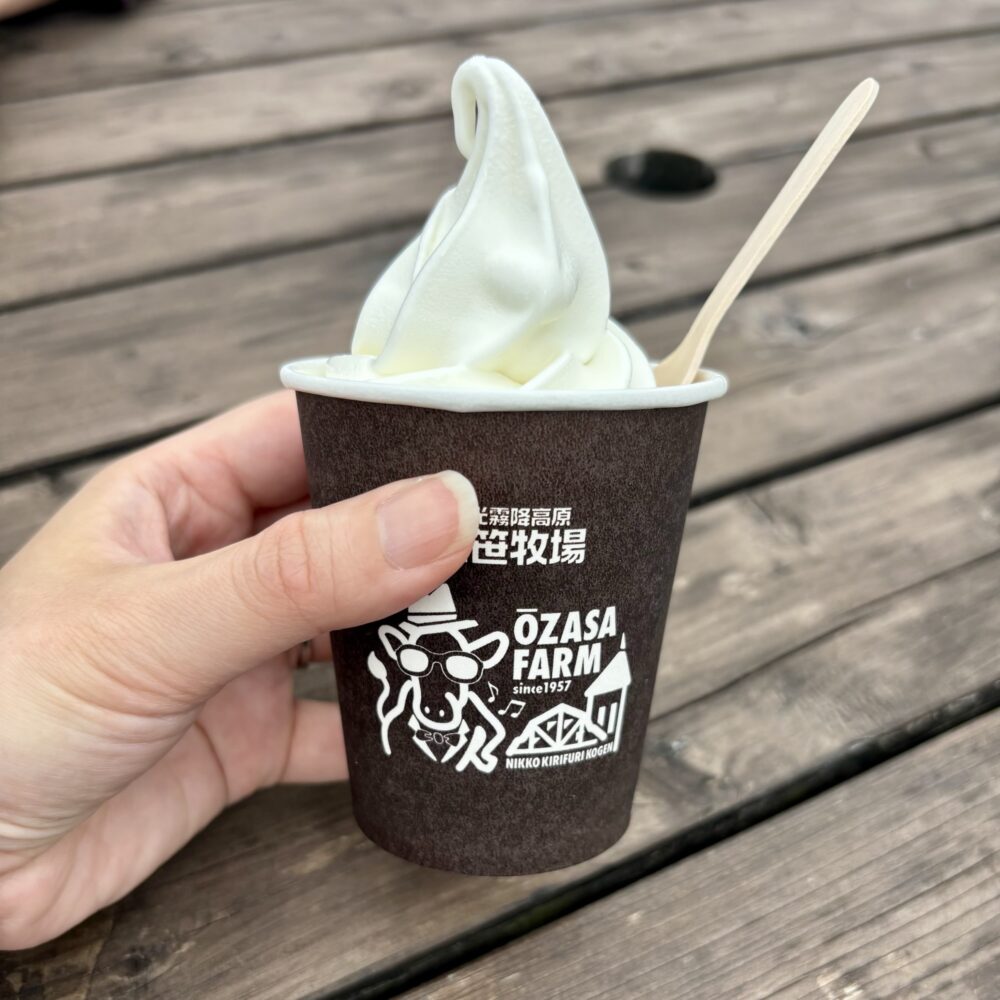 楽天ステイ日光宝殿レビュー|部屋の間取りやアメニティ・チェックイン方法・大笹牧場のアイス