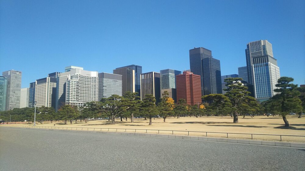 皇居乾通り一般公開・2025年桜|所要時間や待ち時間・混雑具合などレビュー