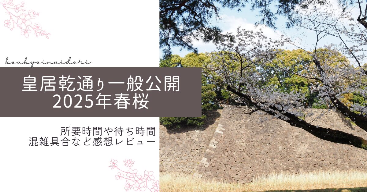 皇居乾通り一般公開2025年桜所要時間や待ち時間、混雑具合などレビュー