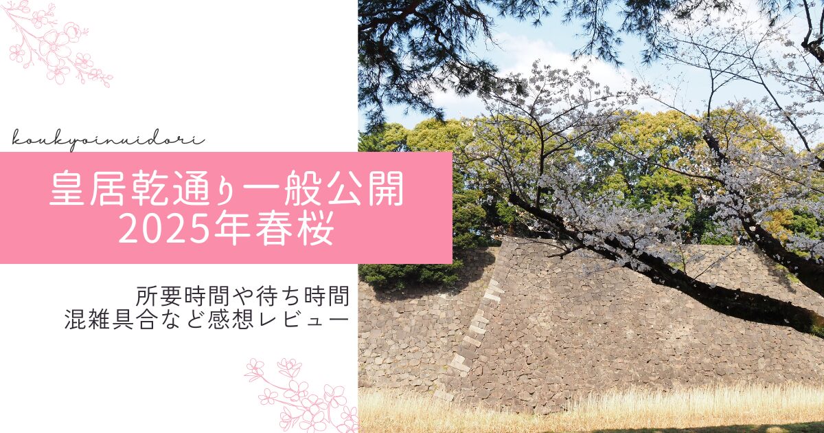 皇居乾通り一般公開2025年桜所要時間や待ち時間、混雑具合などレビュー