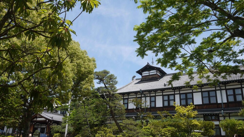 奈良ホテル|本館・新館の違い4選!新館のスタンダードツインに泊まった感想も!