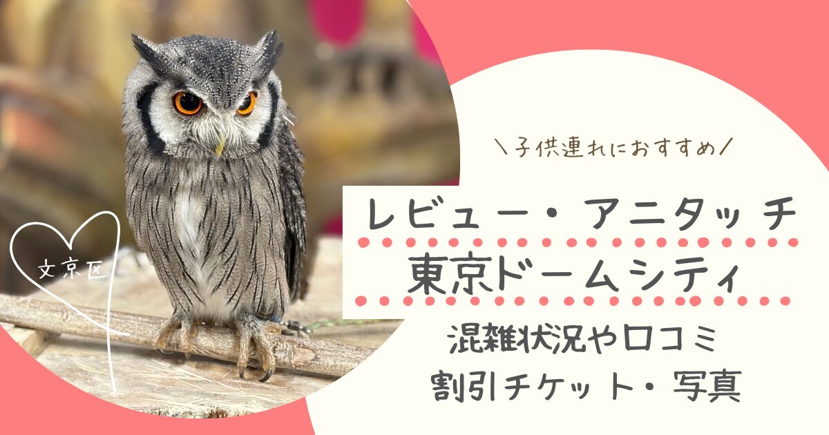 レビュー・アニタッチ東京ドームシティ｜混雑状況や口コミ・割引チケット・写真