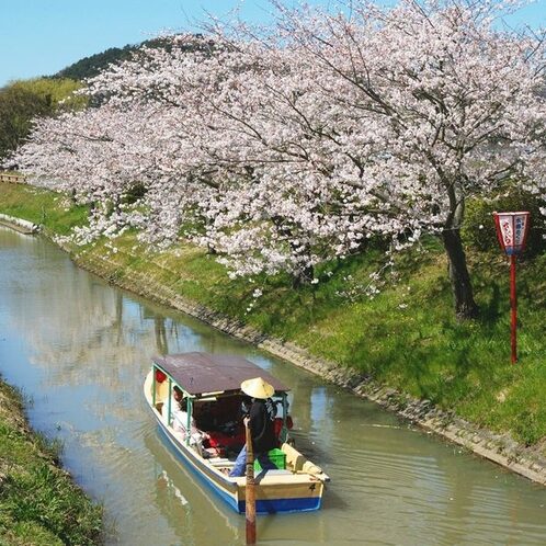 【休暇村】近江八幡の西館・東館の違い3選!口コミや日帰りランチ、温泉も!