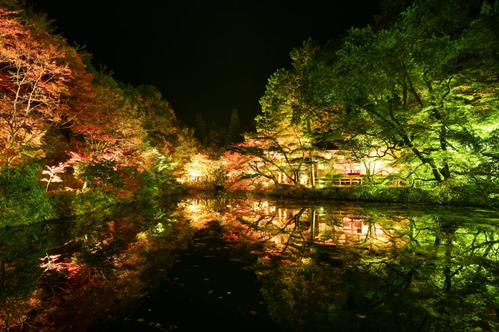 【京都】混雑を避けて紅葉を楽しむ|ライトアップ鑑賞におすすめな穴場ホテル5選
