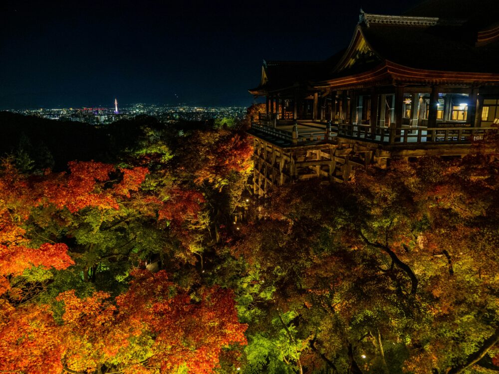 【京都】混雑を避けて紅葉を楽しむ|ライトアップ鑑賞におすすめな穴場ホテル5選