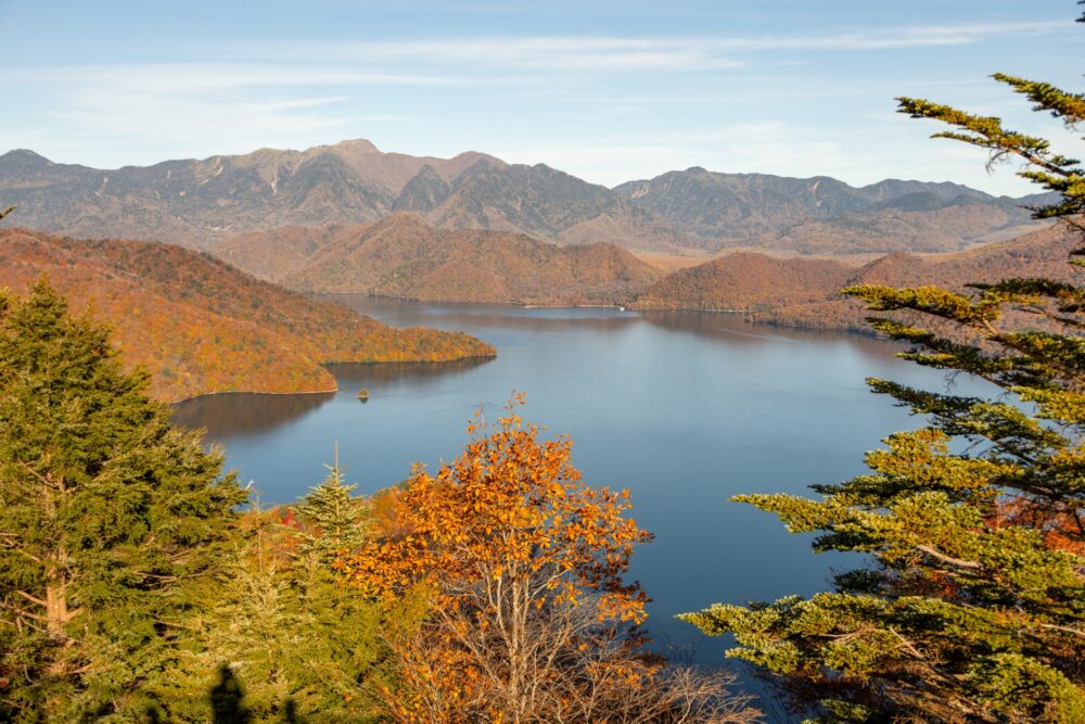 【栃木県】日帰り温泉ランチ付き旅館5選|貸切風呂や絶景を味わう大人の上質日帰り旅