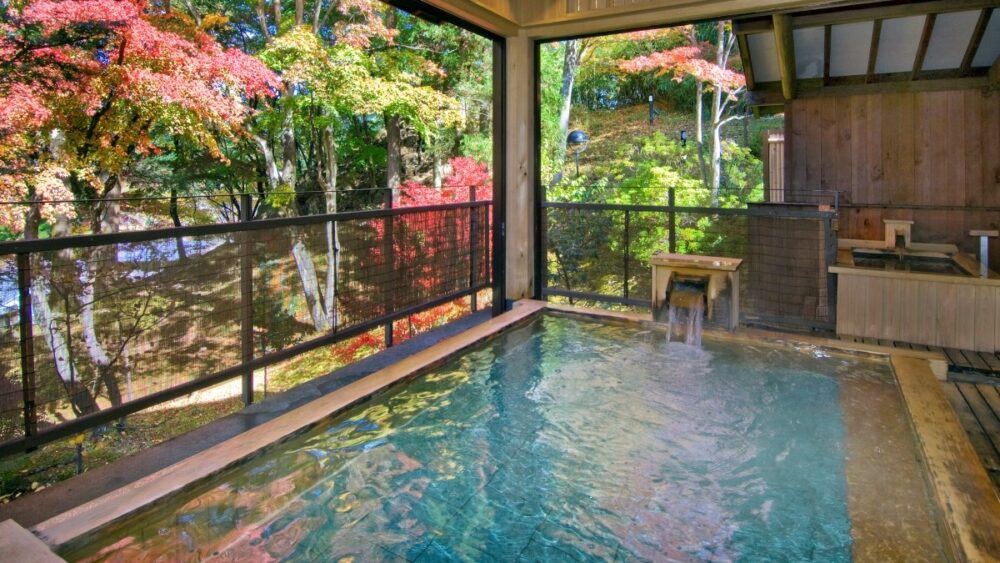 【栃木県】日帰り温泉ランチ付き旅館5選|貸切風呂や絶景を味わう大人の上質日帰り旅